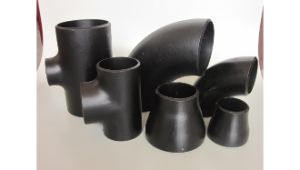 Carbon Steel Stainless Steel Pipe Fitting Flanges manufacturer in Bhubaneswar