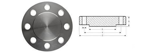 Blind Flanges Supplier & Dealer in India